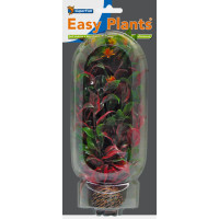 Easy Plants Middle NR6 Easy Plants Middle NR6